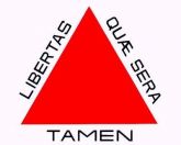 Camiseta Minas Gerais