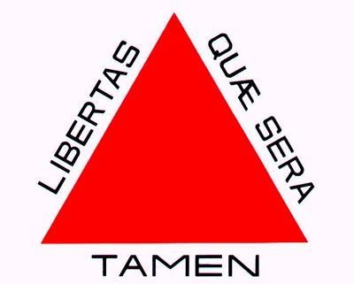 Camiseta Minas Gerais